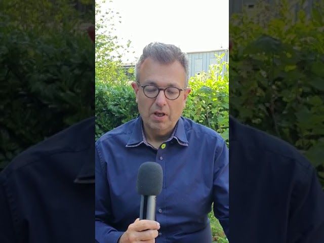 Mehrdad Mostofizadeh beantwortet Fragen zur Freien Kunst- und Kulturszene